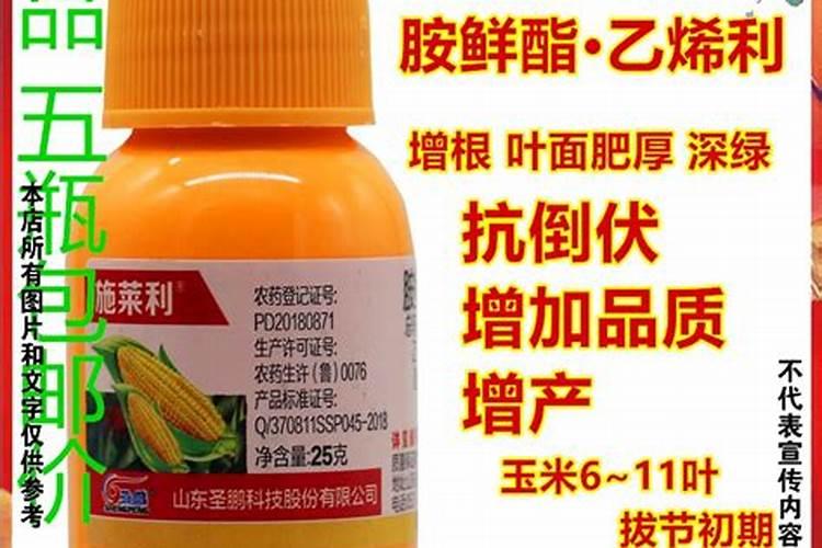 种玉米用二铵好还是复合肥好