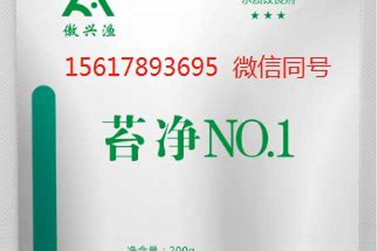 种桔子怎么管理呢？