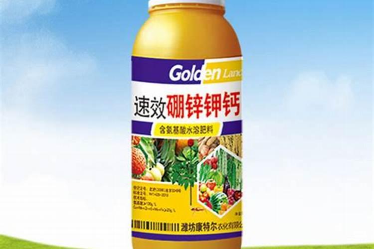 种桔子怎么管理呢？