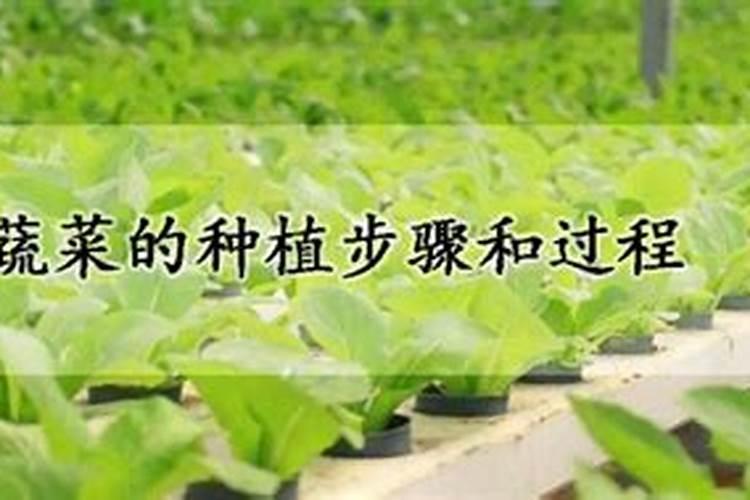 硼肥能增加杨梅种子的饱满度吗 硼肥属于什么肥