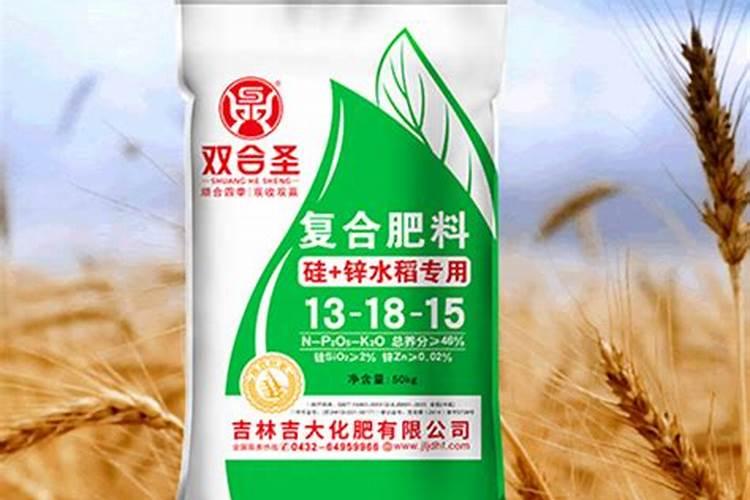 大棚芸豆什么时候浇水好