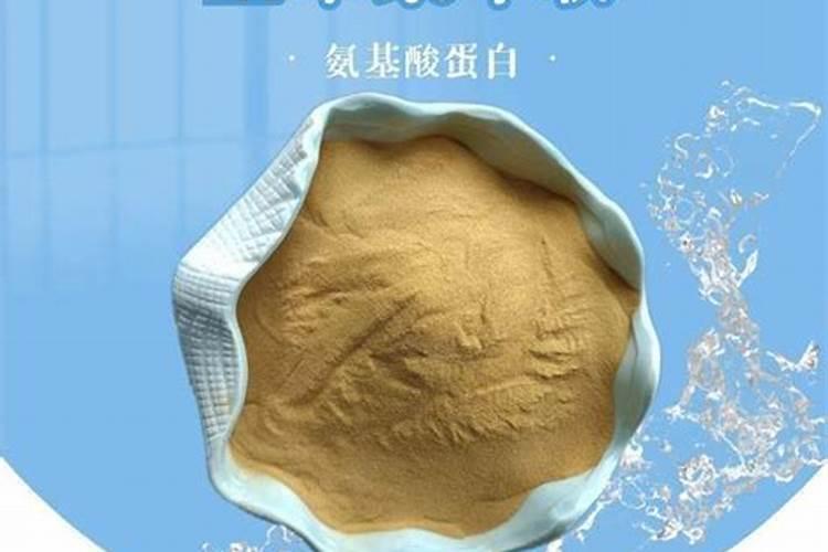 葡萄的最佳施肥时间是什么时候