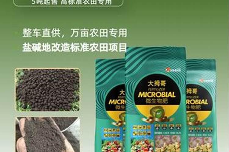 菊花有花蕾时能用磷酸二氢钾喷叶面肥吗