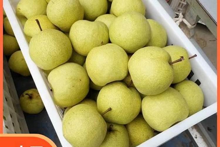 养花土壤调酸最好方法  腐植酸能调偏酸土壤吗