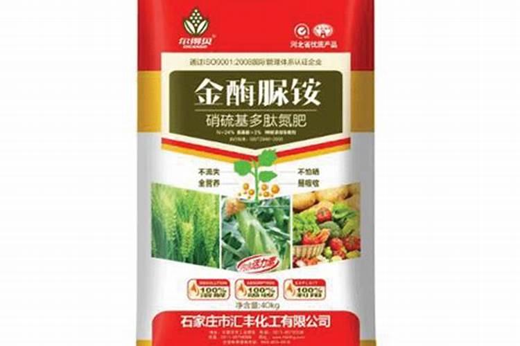 我们曹县今年种麦子的化肥价格是多少一袋？