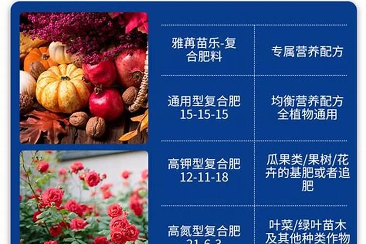 月季夏天用三元复合肥好还是豆粕有机肥好