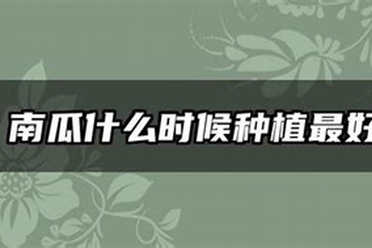 一年生的小葡萄树苗可以用硅肥吗