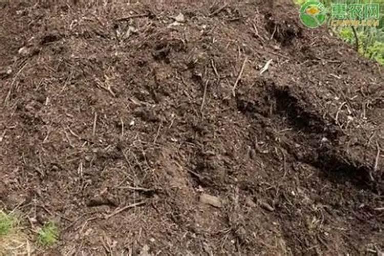 养花种花种菜 养花用什么肥最好