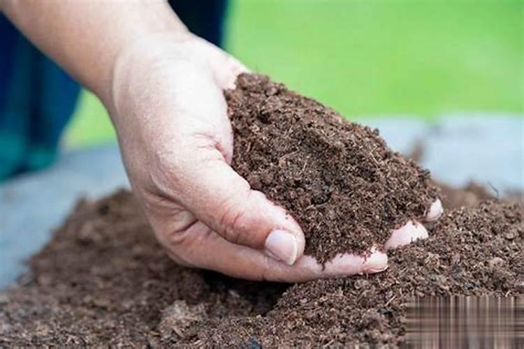 有一块比较小的菜地,怎么施肥？