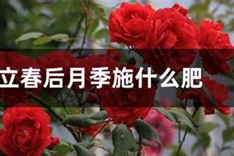 氮肥对植物的作用 氮肥对植物有什么作用