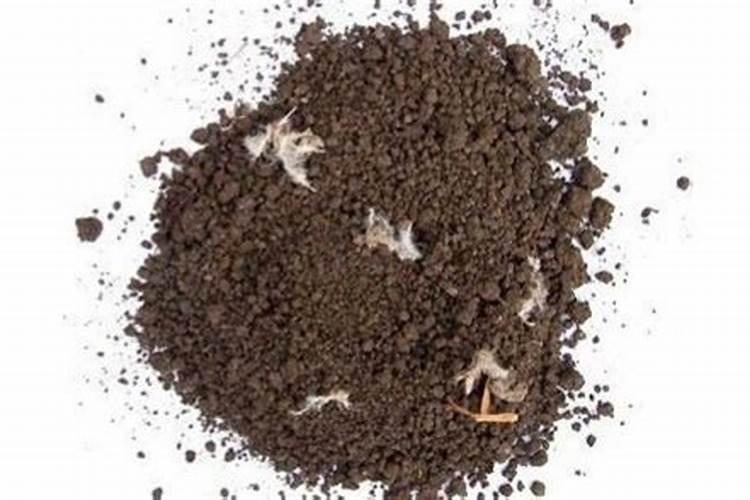 大蒜膨大剂哪个牌子的好？大蒜根茎块膨大素有哪些？