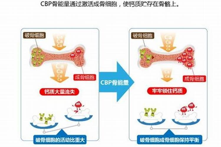 种的满天星不移栽会开花吗