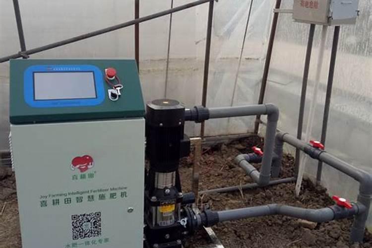 茄子青枯病与枯萎病如何区分？