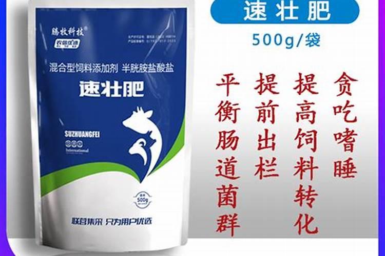 荔枝树冲梢如何防止荔枝树冲梢的方法