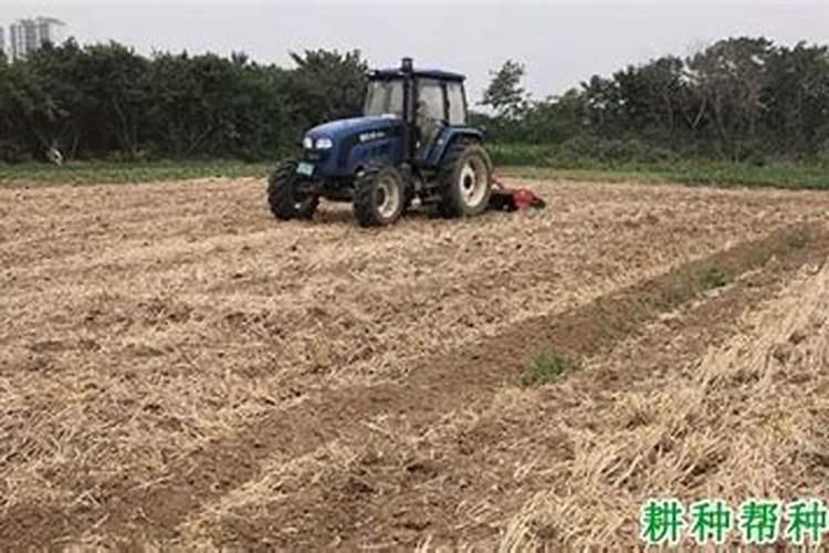 别再只施用氮磷钾,土壤中不可缺少它