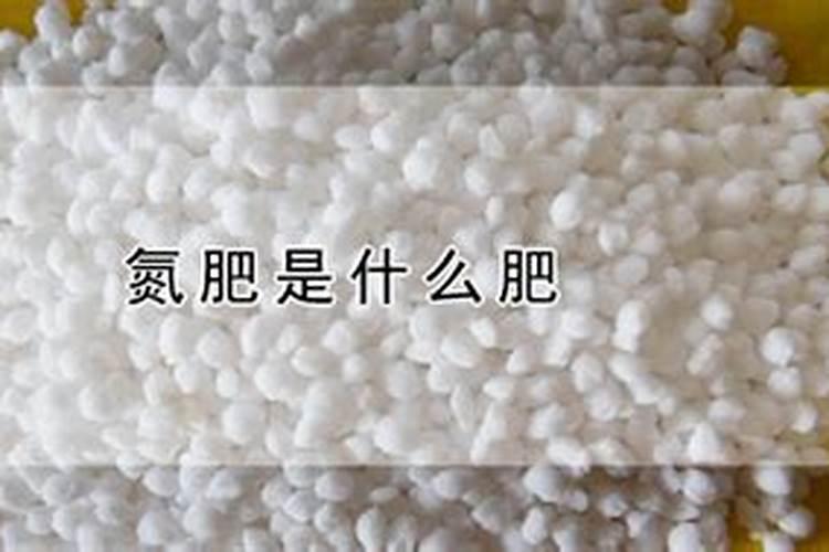 氮肥可以兑水浇花吗