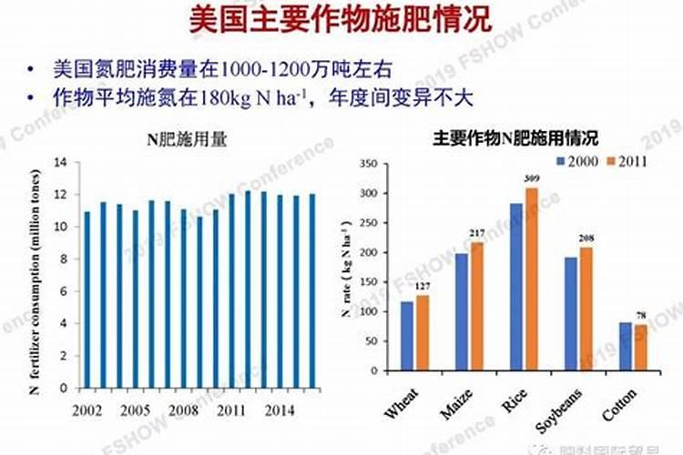 提高氮肥利用率的途径有哪些,氮肥属于哪种肥料