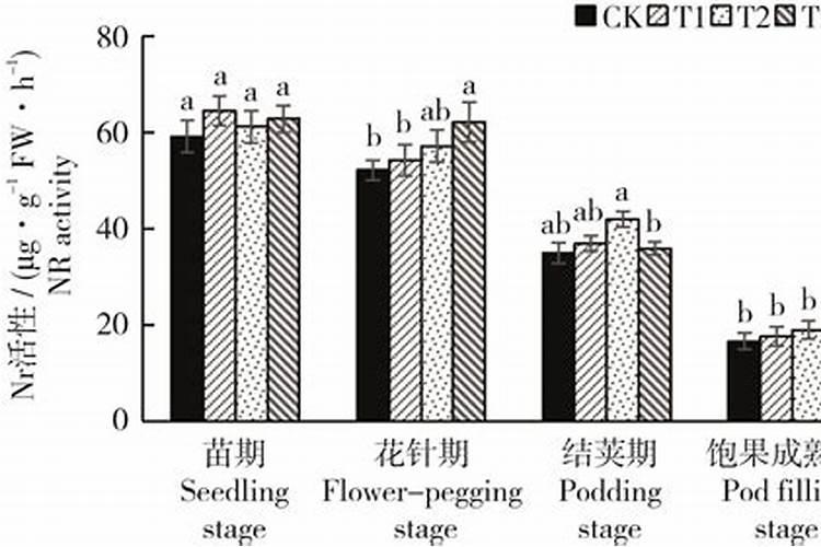 花生用什么肥料最好高产