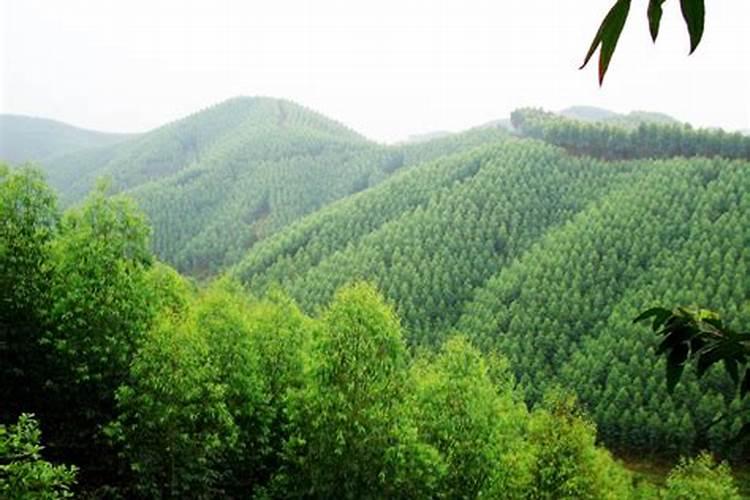 氮肥转化成氨后会被水冲掉吗