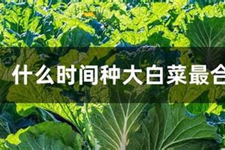 黄豆做肥料注意的事项有哪些