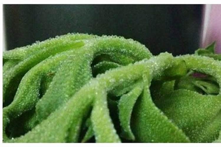 抗精神病的最新药品及作用机制和不良反应