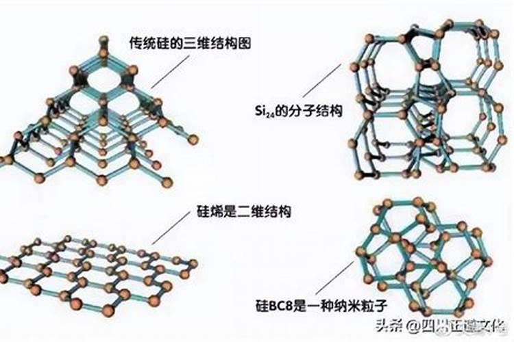 树根的习性有哪些