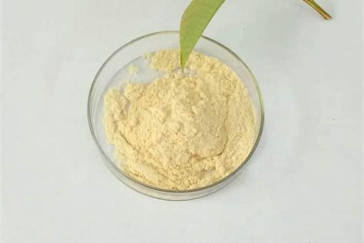 苹果树根能做什么