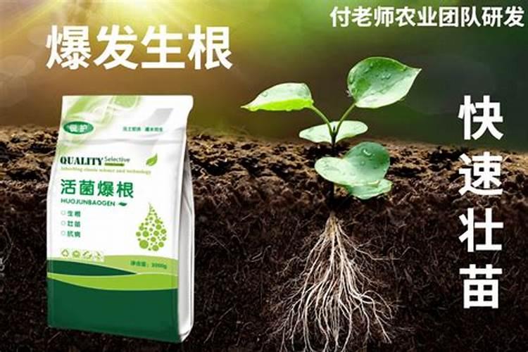 有没有治疗精神病的药物？