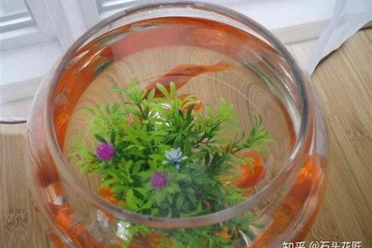 香蕉叶面肥打什么药、能让他无黄叶？