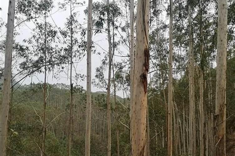 铵态氮肥是酸肥吗？