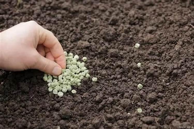 中微量元素肥料有哪些