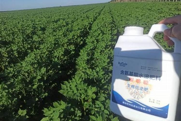 水溶肥是什么肥料,水溶肥料怎么使用效果更好