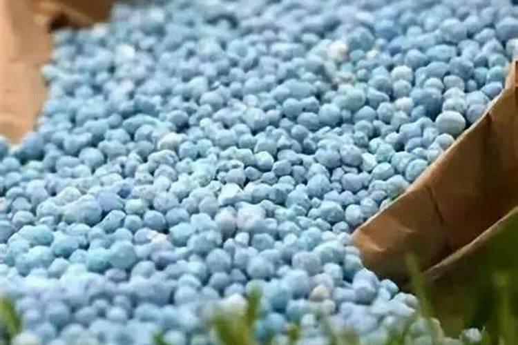 种植香蕉需要什么技术