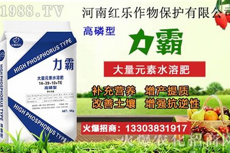 什么品种的蜜柚好吃？