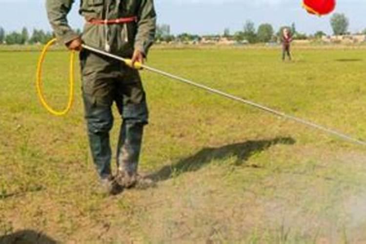 大豆打完除草剂多久可以打叶面肥水？