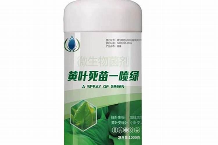 玉米种下多久可施肥