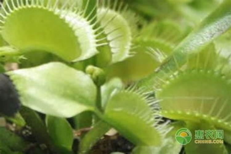 豆制品中含多少钙