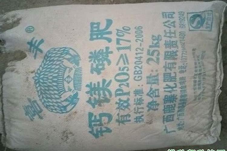 牡丹花能栽活吗？