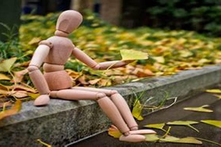 花椒树施什么肥