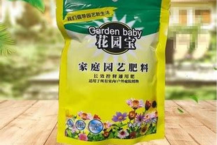 粉色落跑新娘绣球能用大盆栽小苗吗？