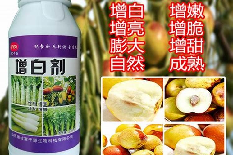 生菜叶片增厚用什么叶面肥