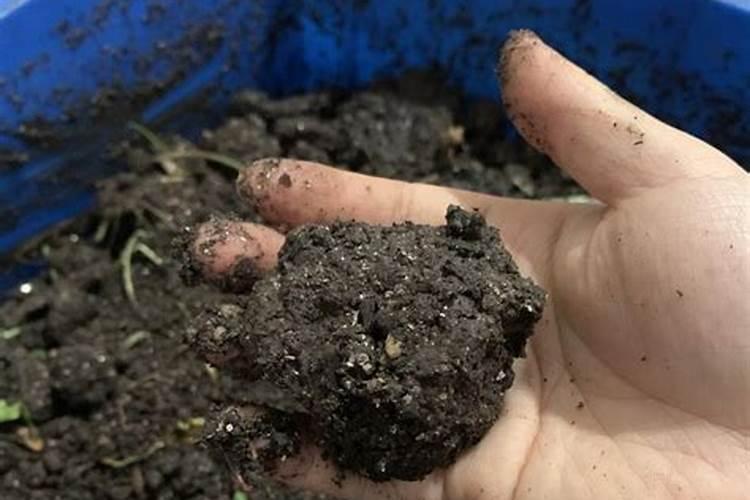 种菜用什么肥料最好 用什么肥料种菜好