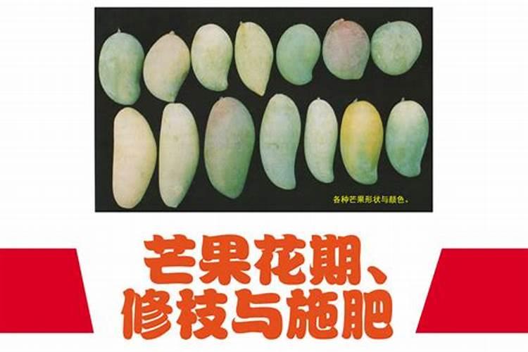 小麦杨花期能打三坐酮吗