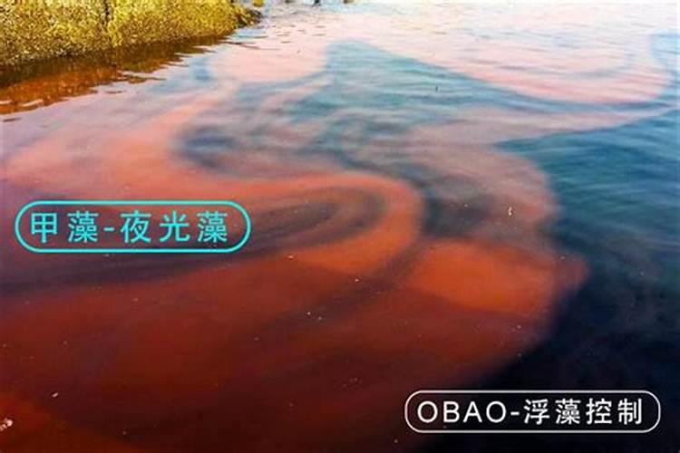 葡萄施钾效果好