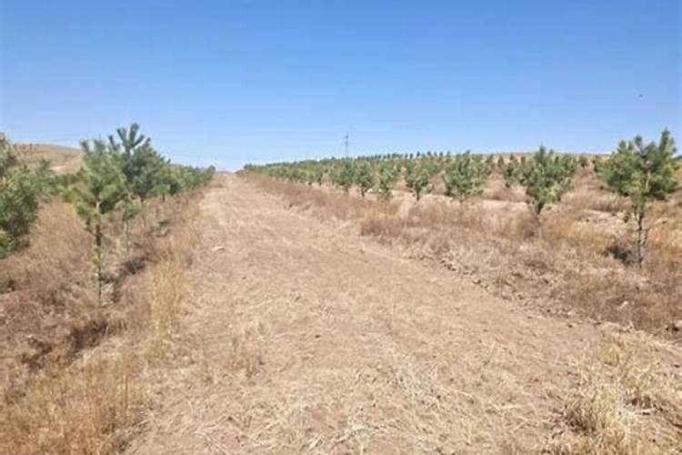 种花用的氮肥和钾肥各指什么？