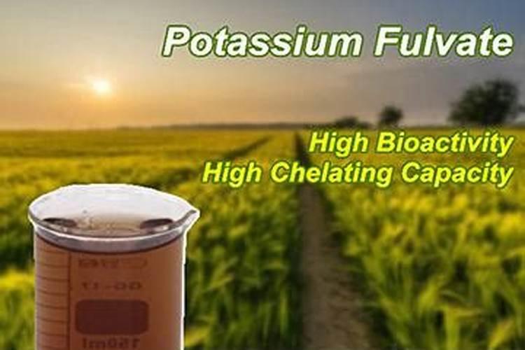 西红柿缺氮是不是提前转色且空又软？