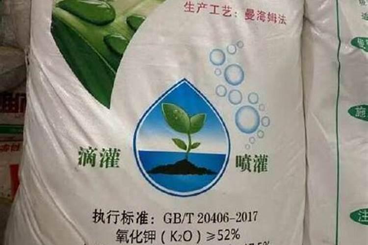 小麦喜欢硫酸钾还是氯化钾 小麦用硫酸钾还是氯化钾