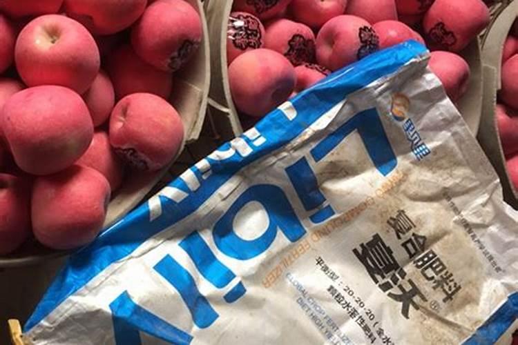 果树春季施什么肥