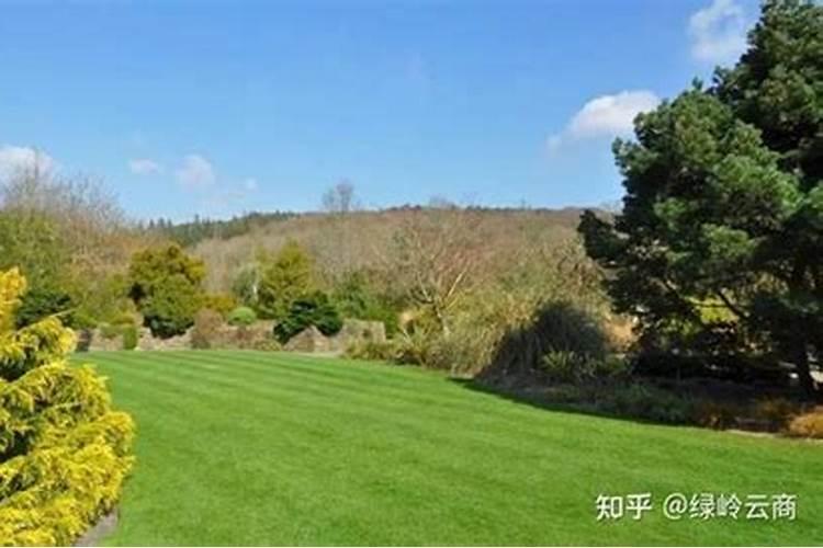 剪股颖草坪多久施一次肥