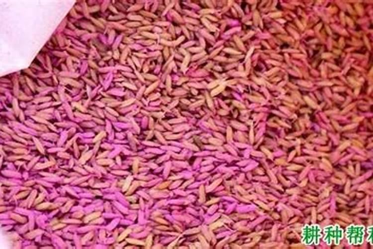 微量元素肥料使用方法 微量元素肥料有哪几种